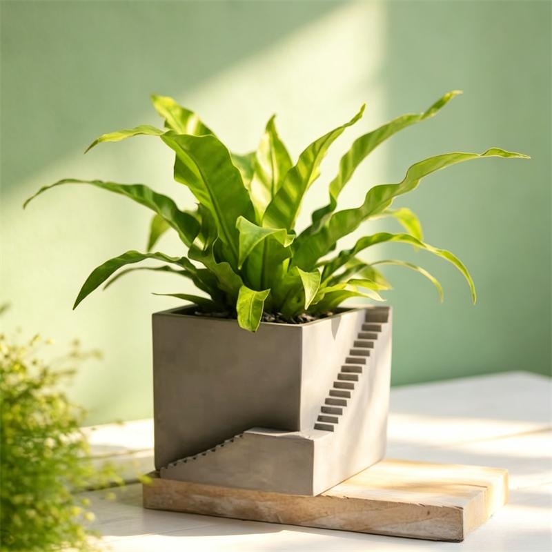 Square Stairs Shape Succulent  - Tagine Clay Pot 评论和价格