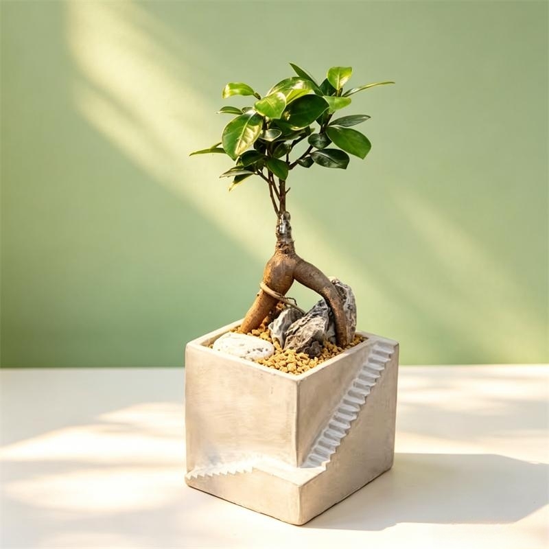 Square Cement Clay Flowerpot S - Tagine Clay Pot 评论和价格
