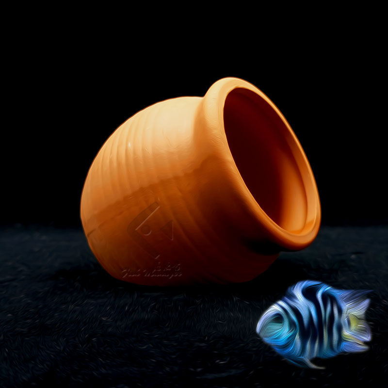 Aquarium Mini Ceramic Tank Fis - Tagine Clay Pot 评论和价格