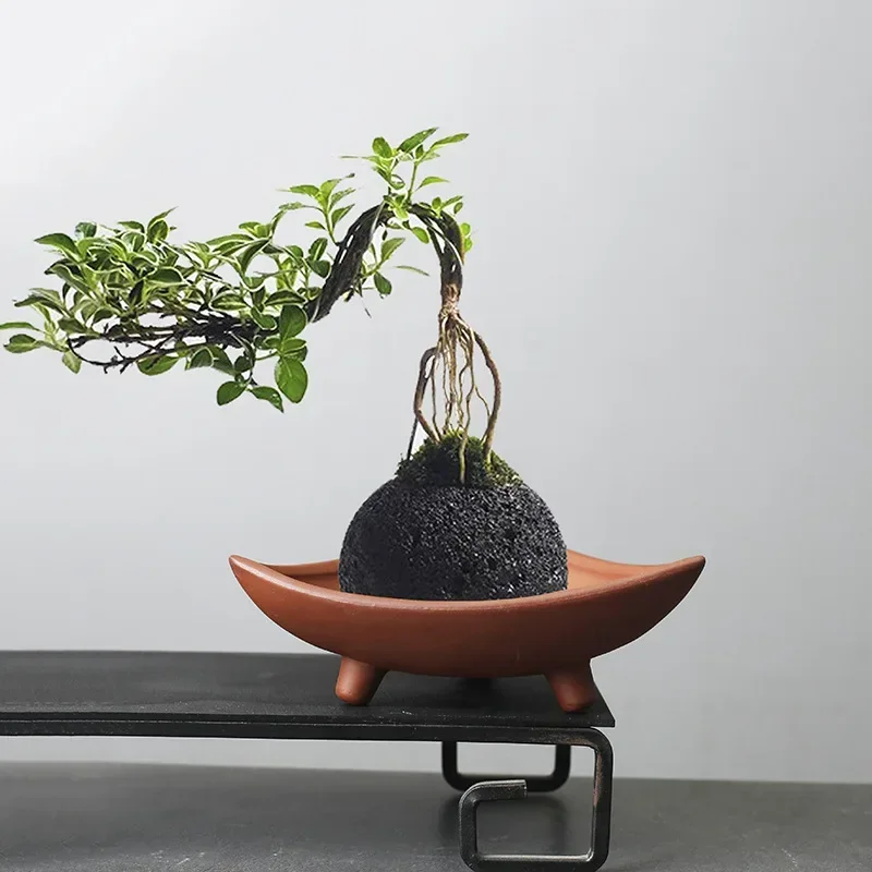 Personalized Ceramic Flower Po - Tagine Clay Pot 评论和价格
