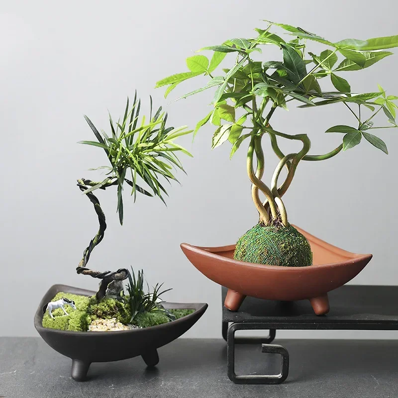 Personalized Ceramic Flower Po - Tagine Clay Pot 评论和价格